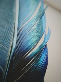 High angle view of feather against blue sky