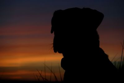 Silhouette of woman at sunset