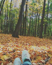 Low section of man relaxing on tree trunk in forest