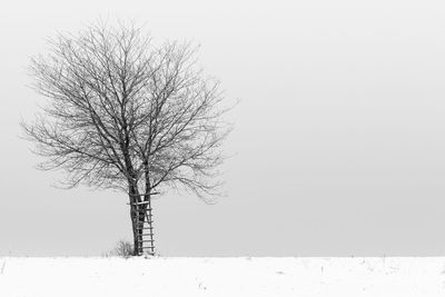 Bare tree on snow covered landscape against clear sky