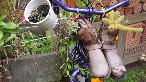 Abandoned bicycle in yard