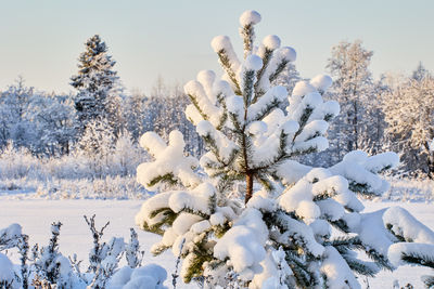 Low angle view of snow covered field against sky