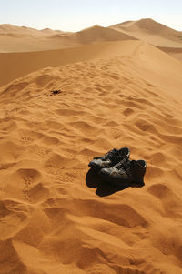 Scenic view of sand dune in desert against sky