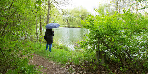 Rear view of woman standing by lake holding umbrella during rainy season