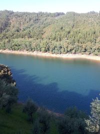 High angle view of lake and trees in forest