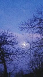 Low angle view of bare trees against blue sky