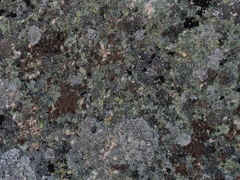 Full frame shot of textured rock
