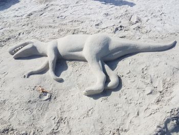 High angle view of lizard on sand at beach