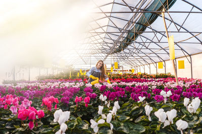 View of flowering plants in greenhouse