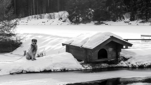Man standing by lake during winter