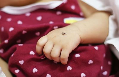 Close-up of baby hand on bed