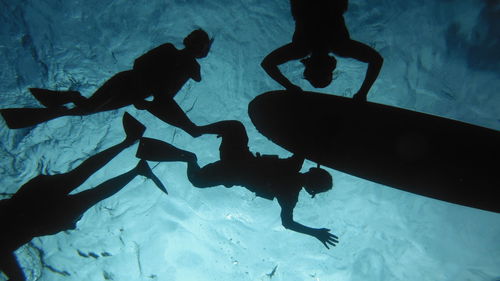 Low angle view of silhouette scuba drivers swimming in sea