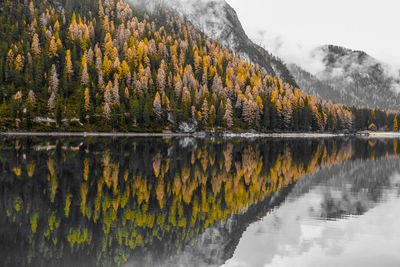 Scenic view of lake against tree mountain during autumn