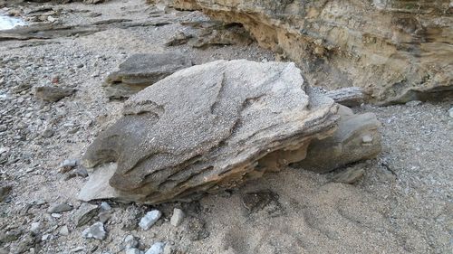 Close-up of rock on beach