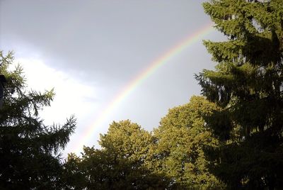 Low angle view of rainbow against sky