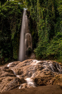 Low angle view of waterfall in forest