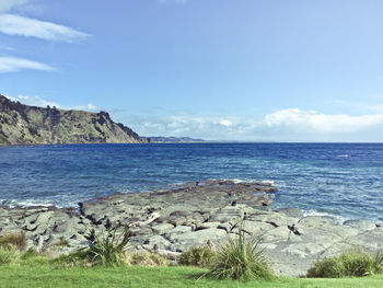 View of calm beach against blue sky