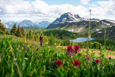 Hiking through healey pass sunshine meadows in banff national park