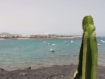 View of boats in sea