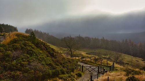 Scenic view of landscape against sky