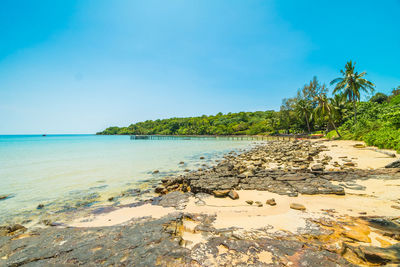 Scenic view of sea against blue sky during sunny day