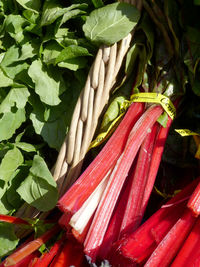 Close-up of red chili peppers