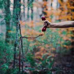 Low angle view of person hand against trees in forest