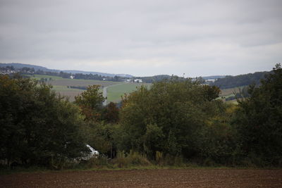 Trees on field against sky