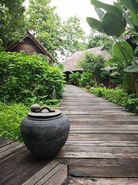 Footpath amidst plants in park