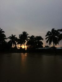 Silhouette palm trees against clear sky at sunset