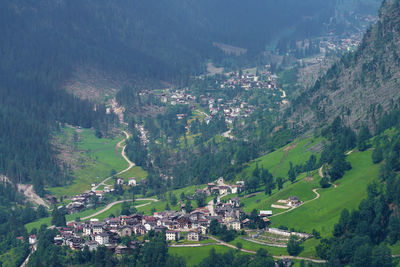 High angle view of buildings and trees