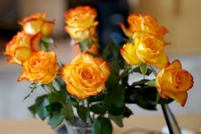 Close-up of yellow roses in vase at home