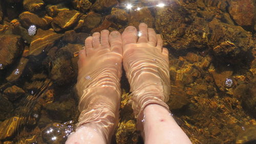 Low section of woman in park