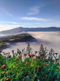 Scenic view of lake and mountains against sky