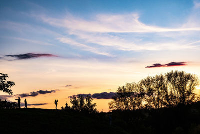 Silhouette trees on field against sky at sunset