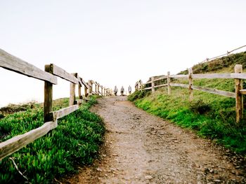 Narrow walkway along trees