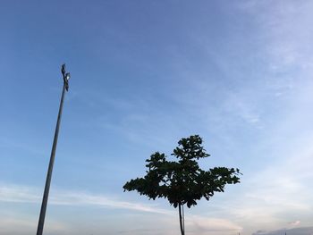 Low angle view of tree against sky