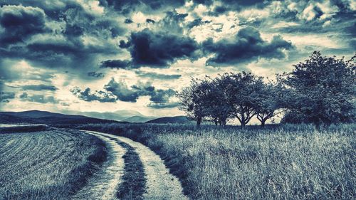 Trees on field against cloudy sky