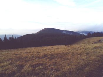 Scenic view of field against sky