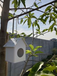 Close-up of birdhouse on tree