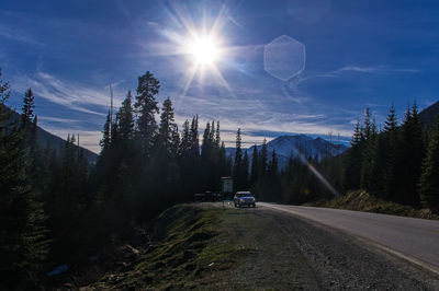 Road amidst trees against sky on sunny day