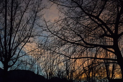 Low angle view of silhouette trees against sky at sunset