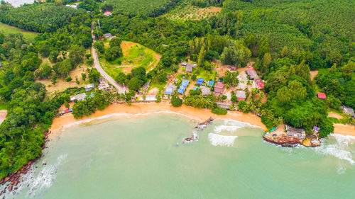 High angle view of trees by sea