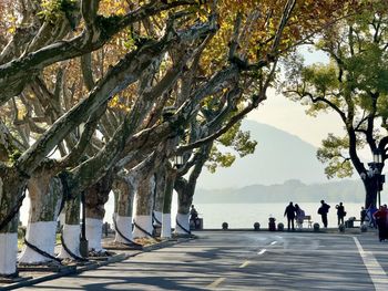 People at a park beside west lake in hangzhou, china