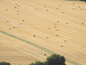 High angle view of hay bales on field