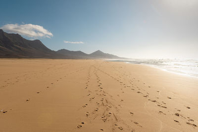 Scenic view of beach against sky