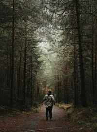 Rear view of man running down a pathway trough a forest