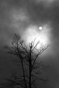 Low angle view of bare tree against moon in sky