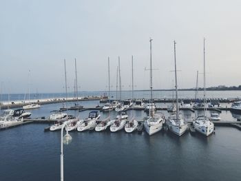 Sailboats moored at harbor