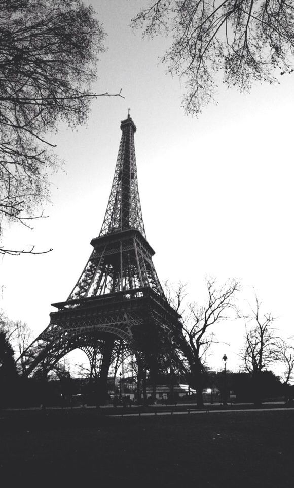 tree, built structure, eiffel tower, architecture, low angle view, clear sky, metal, bare tree, tower, tall - high, sky, culture, travel destinations, international landmark, famous place, history, metallic, travel, day, branch